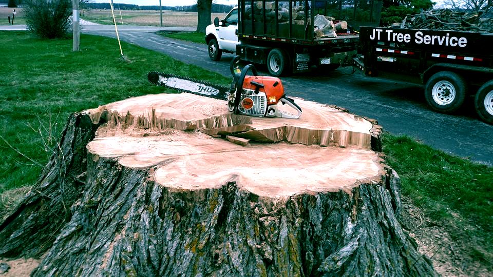 tree stump with chainsaw on top